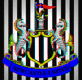 Newcastle Badge